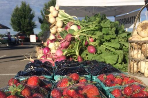 Farmington Growers Market Vendor Training