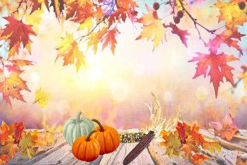 Harvest Fest