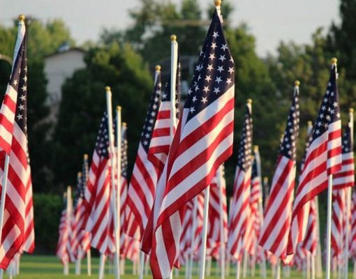 Healing Field