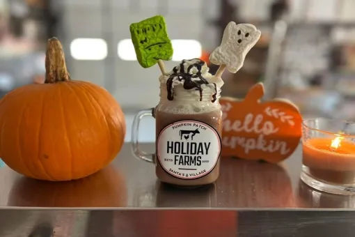 Holiday Farms