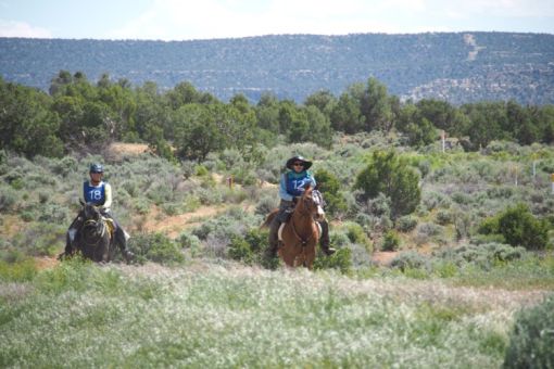 Navajo Lake Competitive Trail Ride