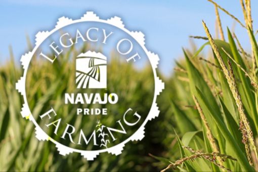 Navajo Pride Customer Harvest Sale