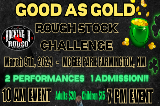 Good as Gold Roughstock Challenge