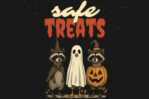 Safe Treats