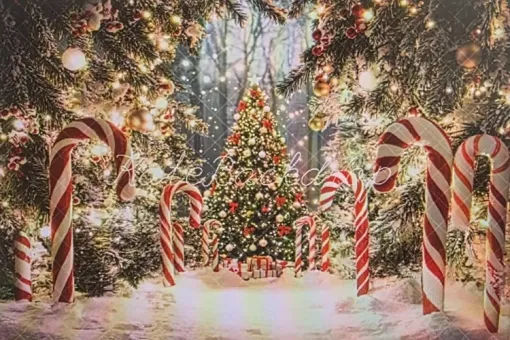 Santa Christmas Minis