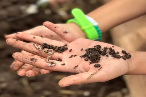 Breakfast & Better Soil Lecture