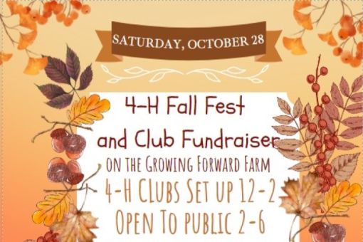 4-H Fall Festival