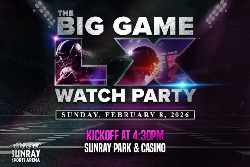 Big Game LX Watch Party
