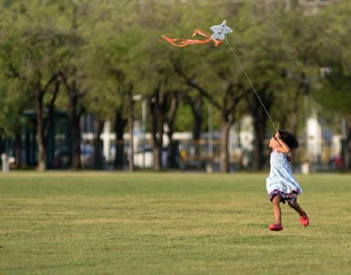 Kite Flying Festival and Health and Wellness Fair