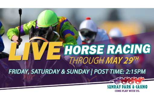 Live Horse Racing