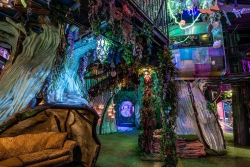 Bonnie Dallas Center goes to Meow Wolf!
