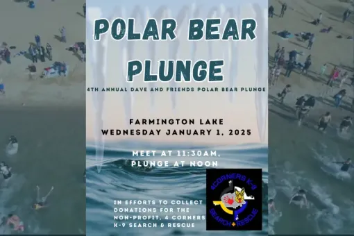 Polar Bear Plunge