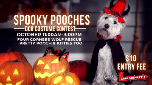 Spooky Pooches Dog Costume Contest