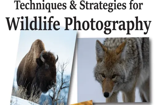 Wildlife Photography Class