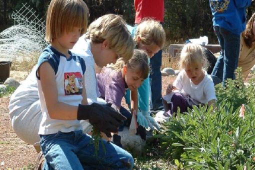 Garden Volunteer Day