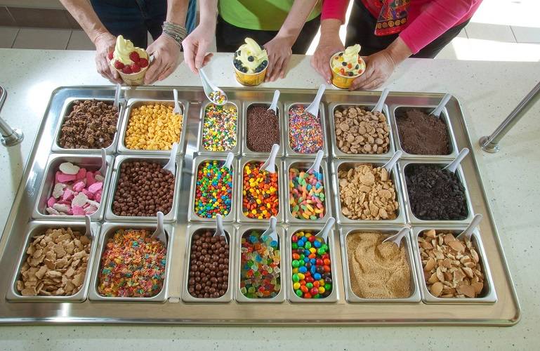 frozen yogurt toppings