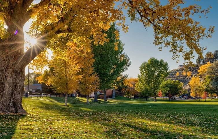 Brookside Park Farmington