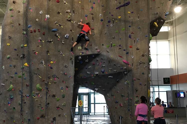 rock climbing wall