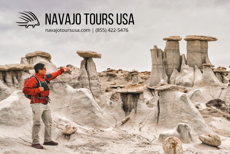 Navajo Tours USA Farmington